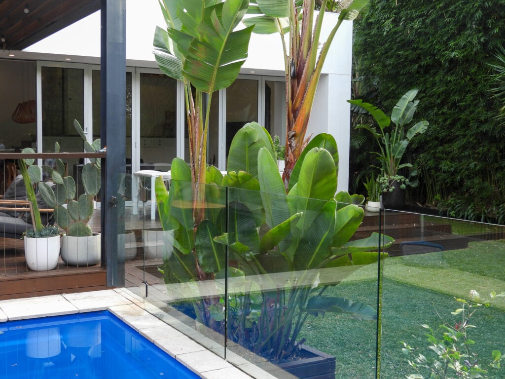Freshwater Sanctuary