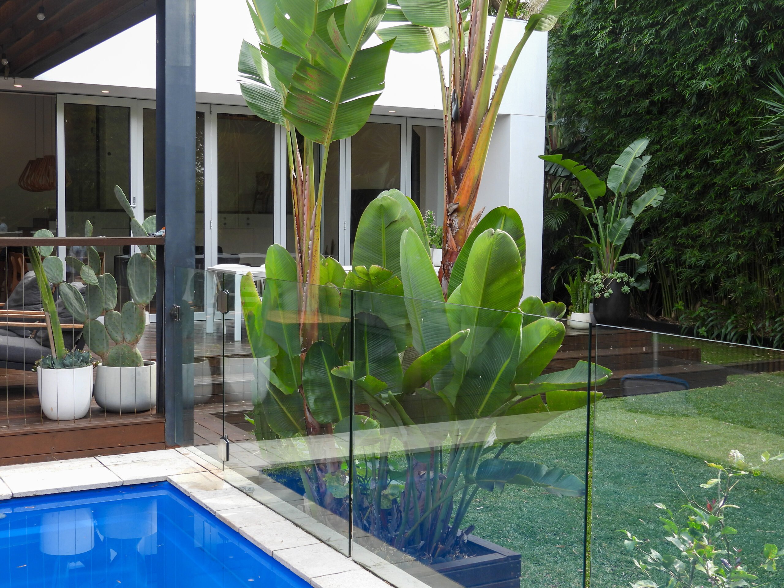 Freshwater Sanctuary